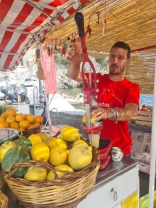 CONTRO IL GRAN CALDO INFERNALE LE “BOMBE” GHIACCIATE  E DISSETANTI DEL CARRETTINO DELLE “SPREMMUTE”  DI IDA & E LUCA VITTOZZI AL QUARTO ANNO  IN PRESIDIO SOTTO AL CASTELLO CON ARACIE, LIMONI, MELOGRANI E FICHI DELLE CAMPAGNE ISCHITANE—————————————————————–(clicca sulle foto, le vedrai i primo piano e più grandi)